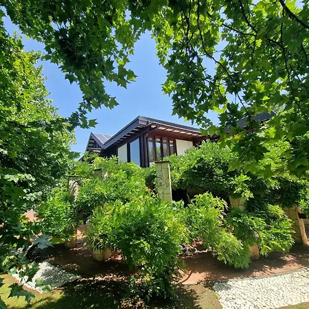 Bed & Breakfast Sbaraglia
