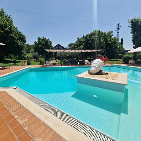 Bed & Breakfast Sbaraglia