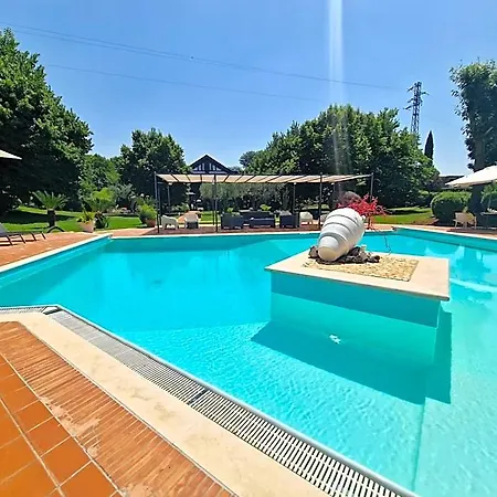 Sbaraglia Bed & Breakfast