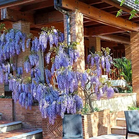 Sbaraglia Bed & Breakfast