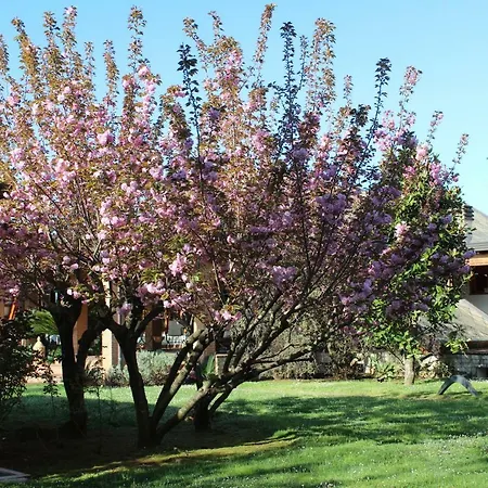 Sbaraglia Bed & Breakfast