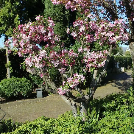 Bed & Breakfast Sbaraglia *
