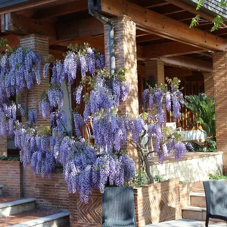 Sbaraglia